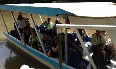 River Jungle Boat Ride in Guanacaste, Costa Rica