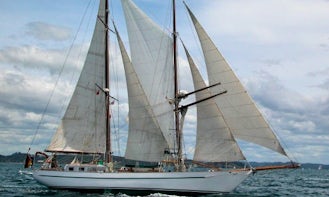Charter Atair in the Bay of Islands