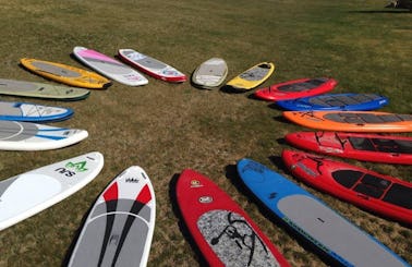 Paddle Board Rental in Edwards, Colorado