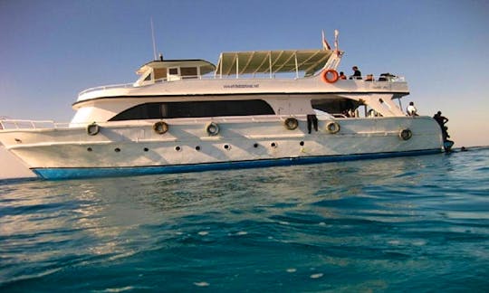 Diving Charter in Egypt, Qesm Hurghada