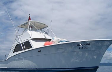 Portugal 36' Fishing Charter in Horta