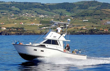 Fishing Charter 31' Paty in Horta Portugal