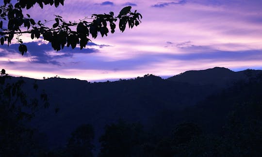 Desfrute de um pacote especial de aventura em Aranyam