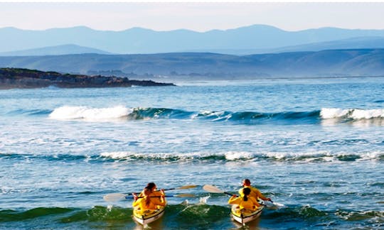 Kayak Rental in Plettenberg Bay