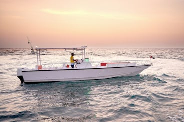 Location d'un bateau Seamaster 4 de 35 pieds pouvant accueillir jusqu'à 12 personnes