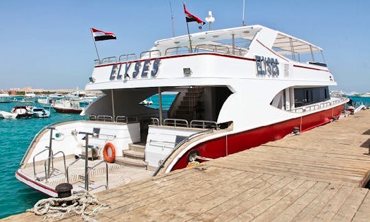 Diving and Snorkeling Charter in Hurghada, Egypt