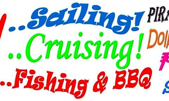 Cruises & Activities