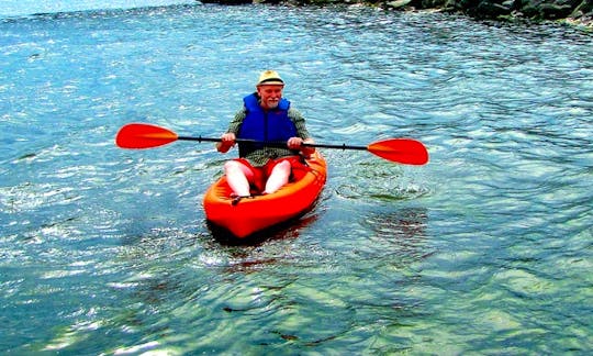 Charter kayak in Płęsno