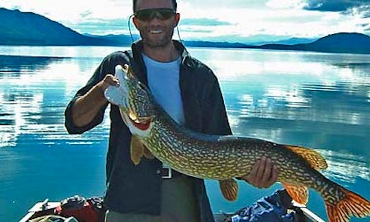 Guided Fishing Packages in the Southern Lakes Region, Yukon Territory, Canada
