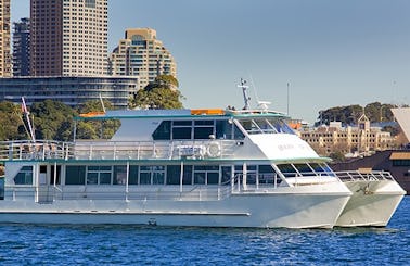Exhilarating Whale Watching Trip in Sydney, Australia (MAY - NOV)