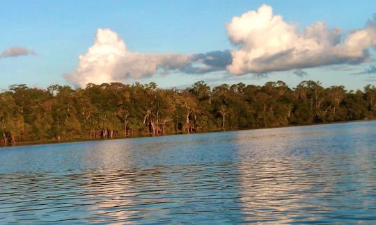 Passenger Boat Tours in Manaus, Amazonas