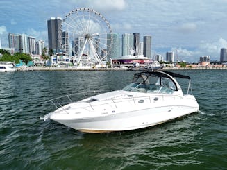 As melhores vistas de Miami: Skyline & Celebrity Homes Cruise|Sea Ray 37" ⚓️