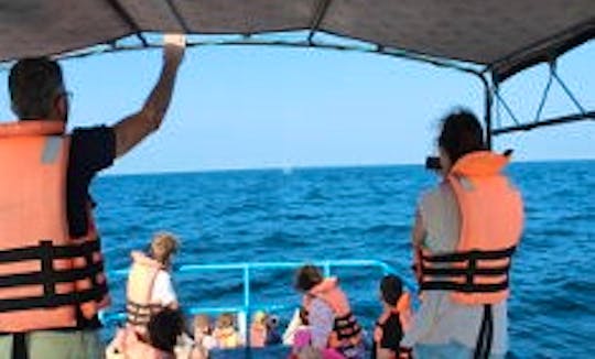 Passenger Boat Rental and Whale Watching in Mirissa, Sri Lanka