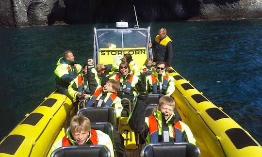 Ribsafari Jötunn Boats for Tours in Iceland