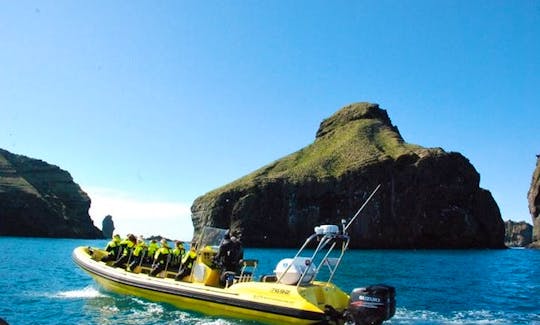 Hire a RIB for 25 Persons in Vestmannaeyjabær, Iceland