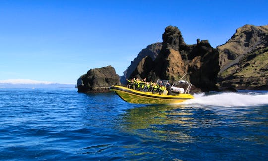 Hire a RIB for 25 Persons in Vestmannaeyjabær, Iceland