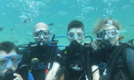 Diving Charters From Kalkan