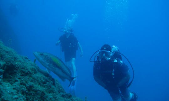 Diving Charters From Kalkan