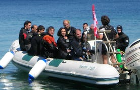 Dive Charter in Portoferraio on the Island of Elba