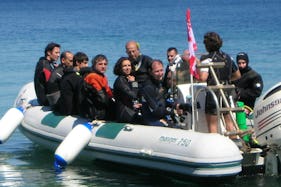 Dive Charter in Portoferraio on the Island of Elba