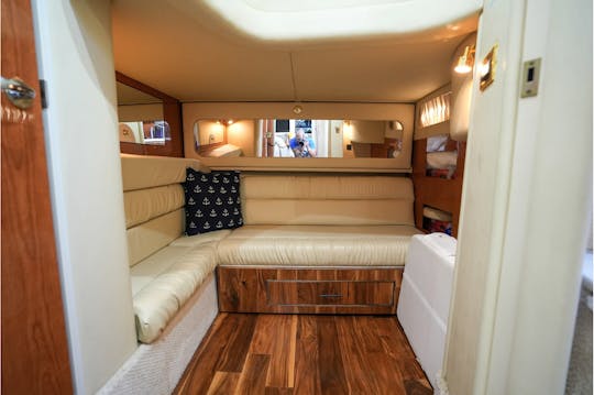 41' Stunning Sea Ray Yacht - Stunning throughout