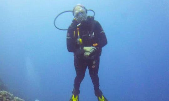 Daily Guided Dives to Dahab Dive Sites