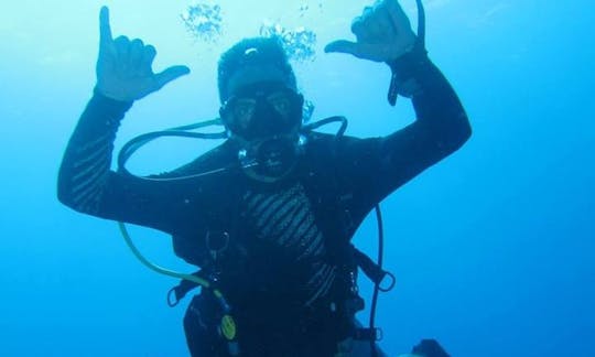 Fun Dives from Koh Tao