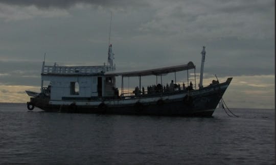 Fun Diving Trip in Surat Thani