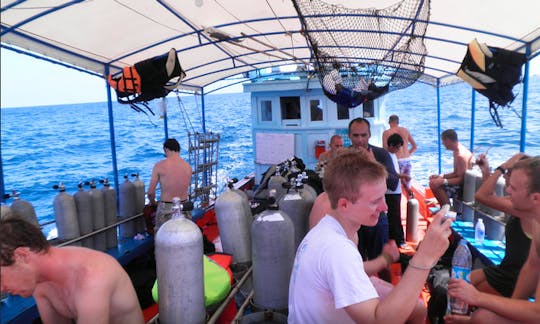 Fun Diving Trip in Surat Thani
