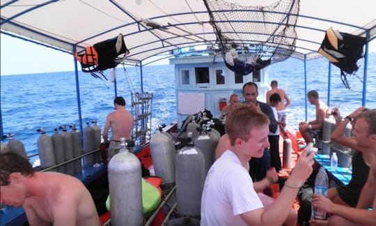 Fun Diving Trip in Surat Thani