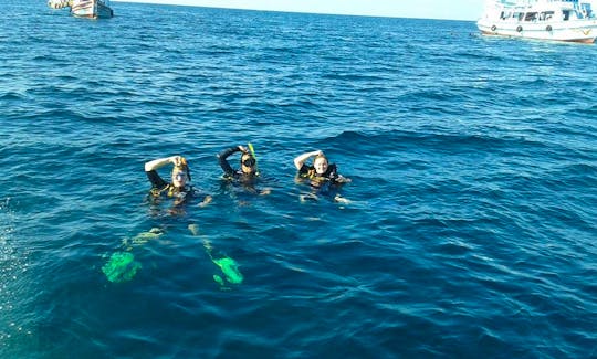 Fun Diving Trip in Surat Thani