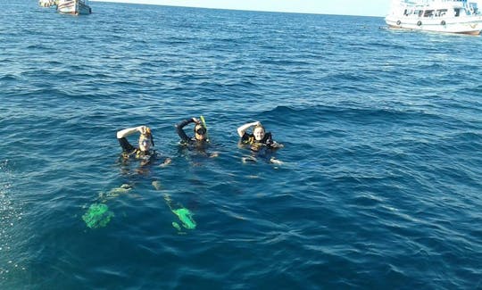 Fun Diving Trip in Surat Thani