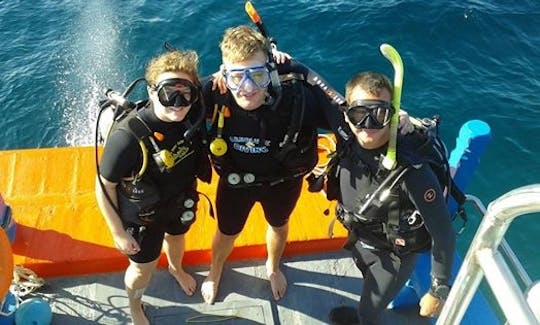 Fun Diving Trip in Surat Thani