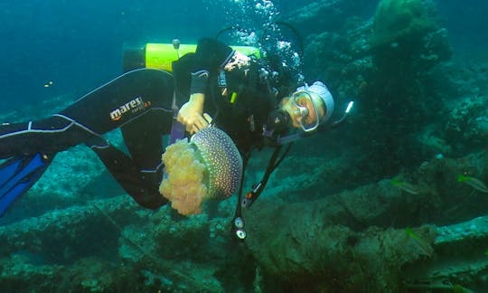 Diving Courses and Charters in Kuching