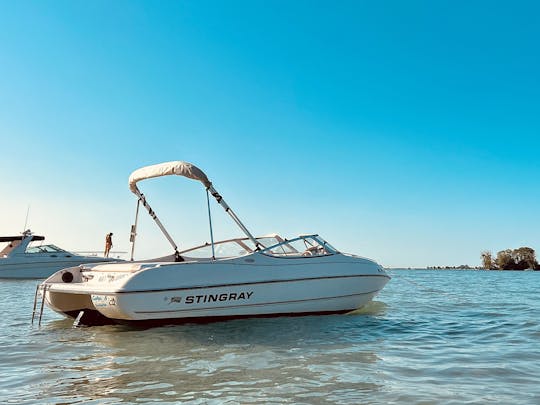 Lancha motora Stingray de 19 pies en el lago St. Clair