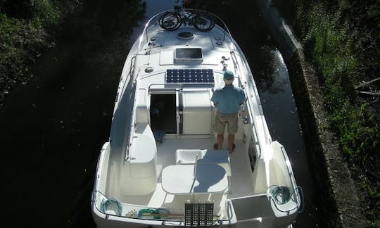 Bateau fluvial Phenix 34' à Baye sur le Canal du Nivernais en Bourgogne