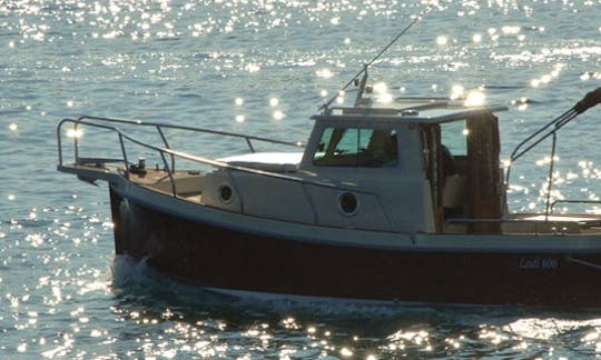 Leidi 600 Power Boat Charter in Zadar