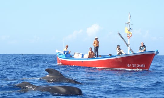 Aluguel de barcos de passageiros em Valle Gran Rey