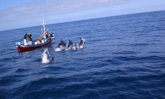 Aluguel de barcos de passageiros em Valle Gran Rey