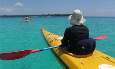 Visitas guiadas en kayak en el Parque Nacional de Komodo, Indonesia