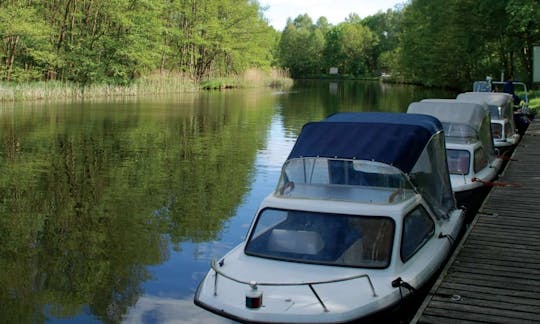 Rent Quicksilver 470 Cuddy Cabin/Walk Around in Germany