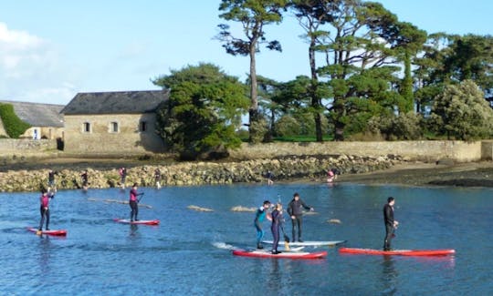 Paddleboard Rental in Quiberon Auray and Vannes