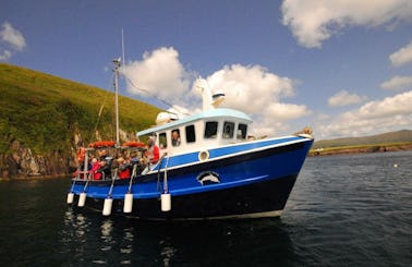 Sightseeing Cruise in Dingle
