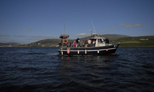 Sightseeing Cruise in Dingle