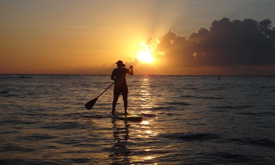 Paddleboard Rental  or Island Tours in Roatan, Honduras