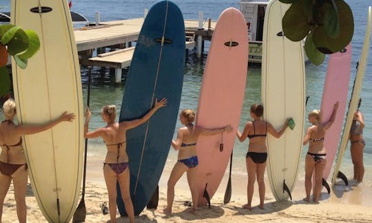 Paddleboard Rental  or Island Tours in Roatan, Honduras