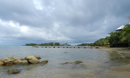 Glass Bottom Boat Tour & Snorkeling in Roatán, Honduras