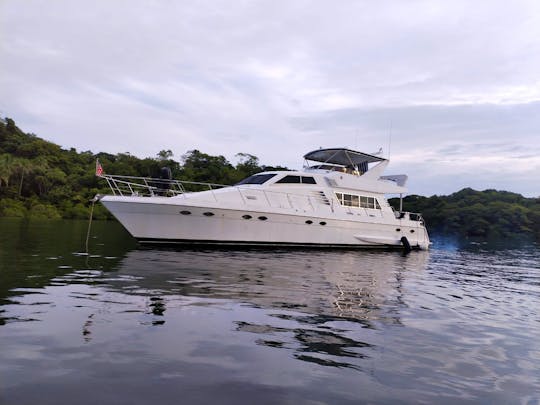 65 foot Party boat for Luxury Cruising in in Playa Herradura
