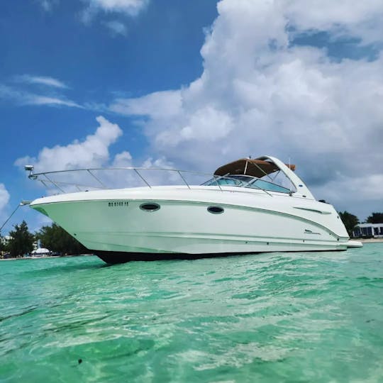 Alquiler de yate Chaparral de 31 pies desde Caimán