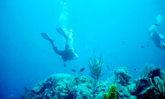 Diving Charter in Placencia Belize